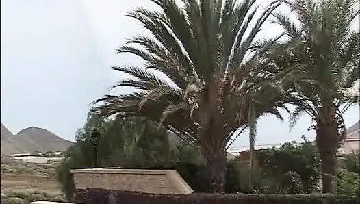 The Luxury Clique with Wild Outdoor Sex