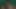 インタビュー