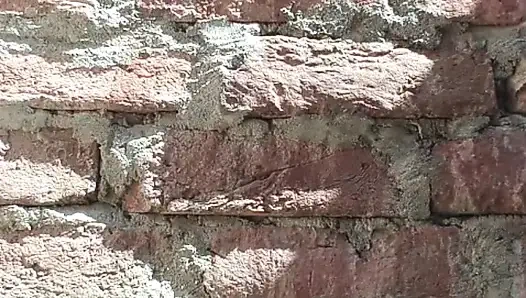 Сексуальные видео бангладешской горячей девушки