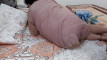 Pratinjau video