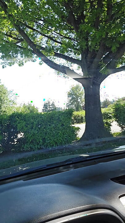 Nude Driving