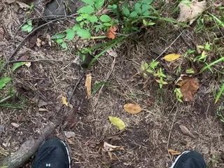 Cumming en el bosque