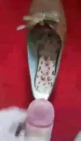 Wanking on Balerinas