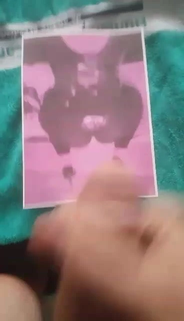 Fans