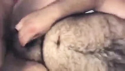 Büyük yaraklı erkek yaraklı göt