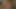 Crazy Bitch Needs Hair Grab