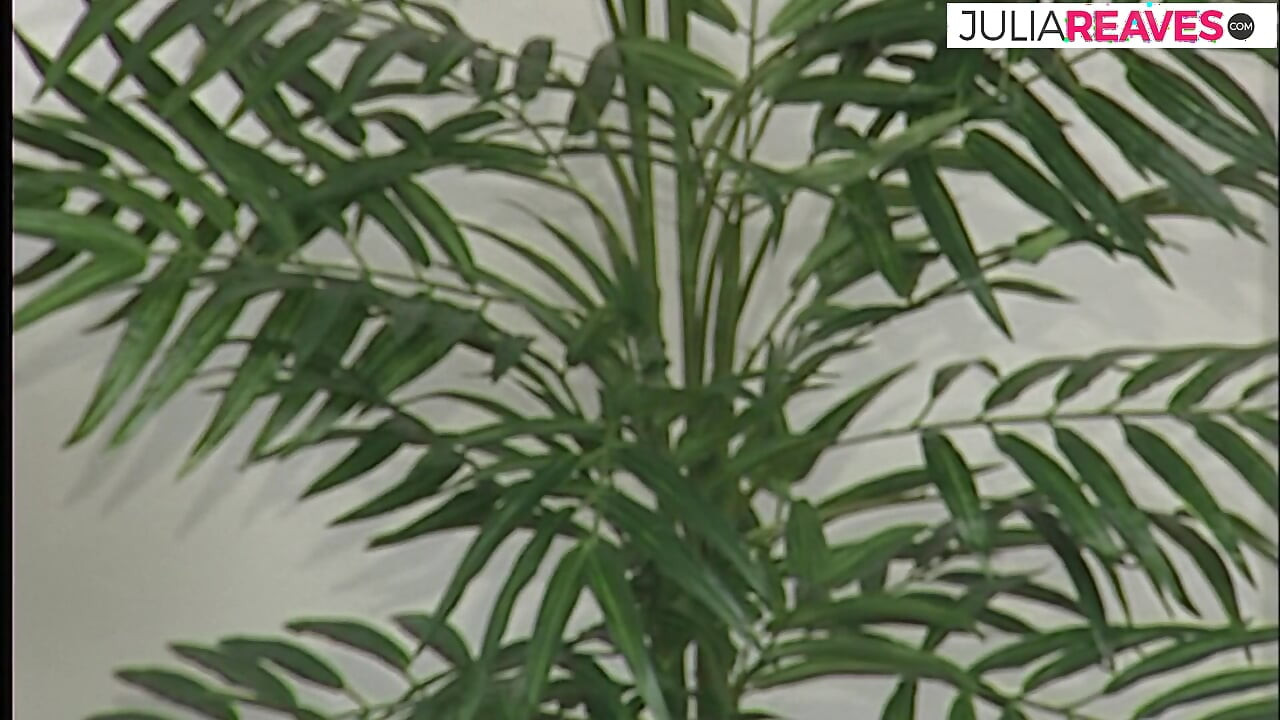 Babe gags on a huge cock after having pussy licked then rides it hard