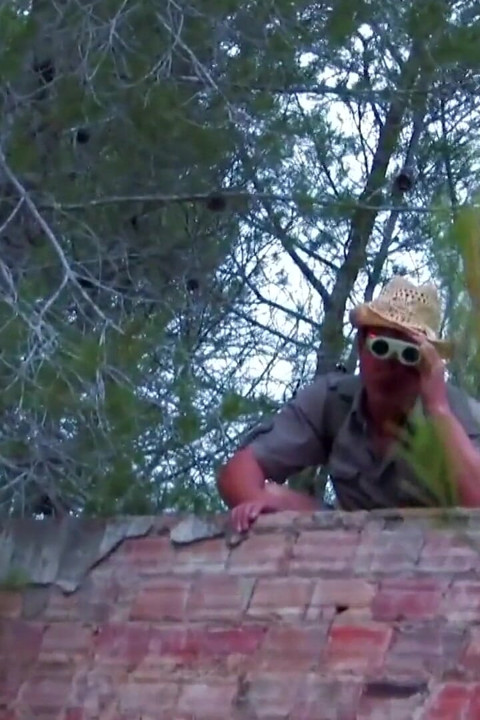 Girls suck huge cocks then ride them hard in the bushes