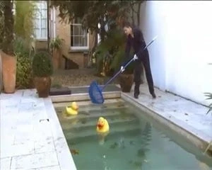 Foda-se o jardineiro - nial