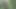 Femboy Sissy in the park masturbating