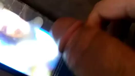 domtribute