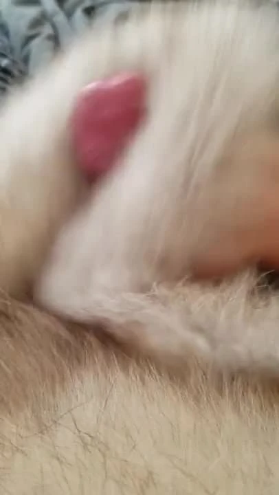Fur jerk