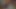 フルーツを楽しむ