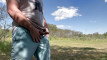 Pregled videozapisa