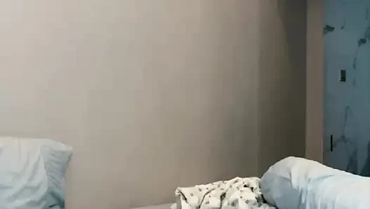 Der VCS ist das gleiche Modell, aber der Körper ist sehr glatt.