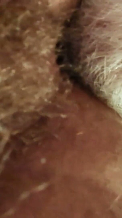 Daddy feasting on a beautiful hairy hole | Clip 1