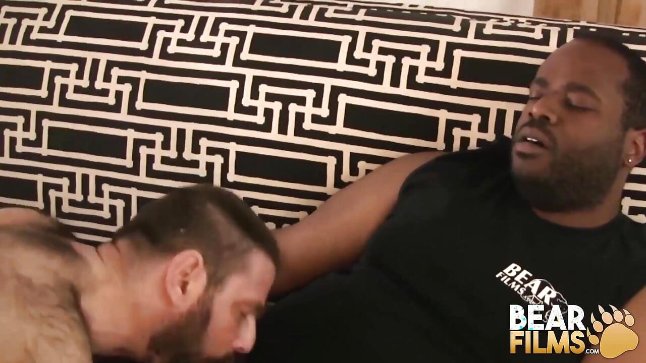 Bearfilms - marty alonde dibiakkan sama si beruang hitam kontol besar jason roman