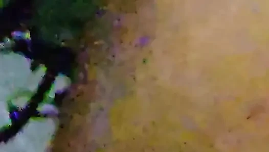 Wow reniis si cewek hot rambut pirang lagi asik nyepong kontol crystal sampai dia keenakan!
