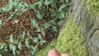 Jerking off in forest