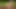 Scout Camp Big Pecker 3 5,5 Min, HD