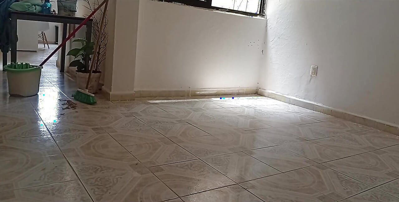 The Lady Who Cleans the House