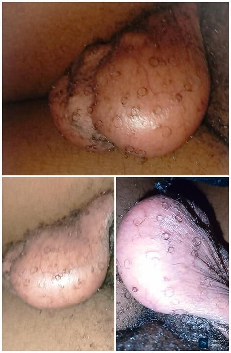 드래곤 볼