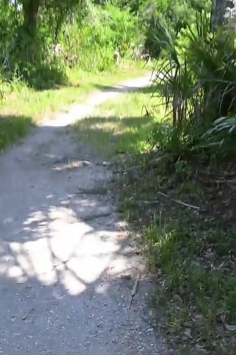 BTS naturvandring og onani på stien