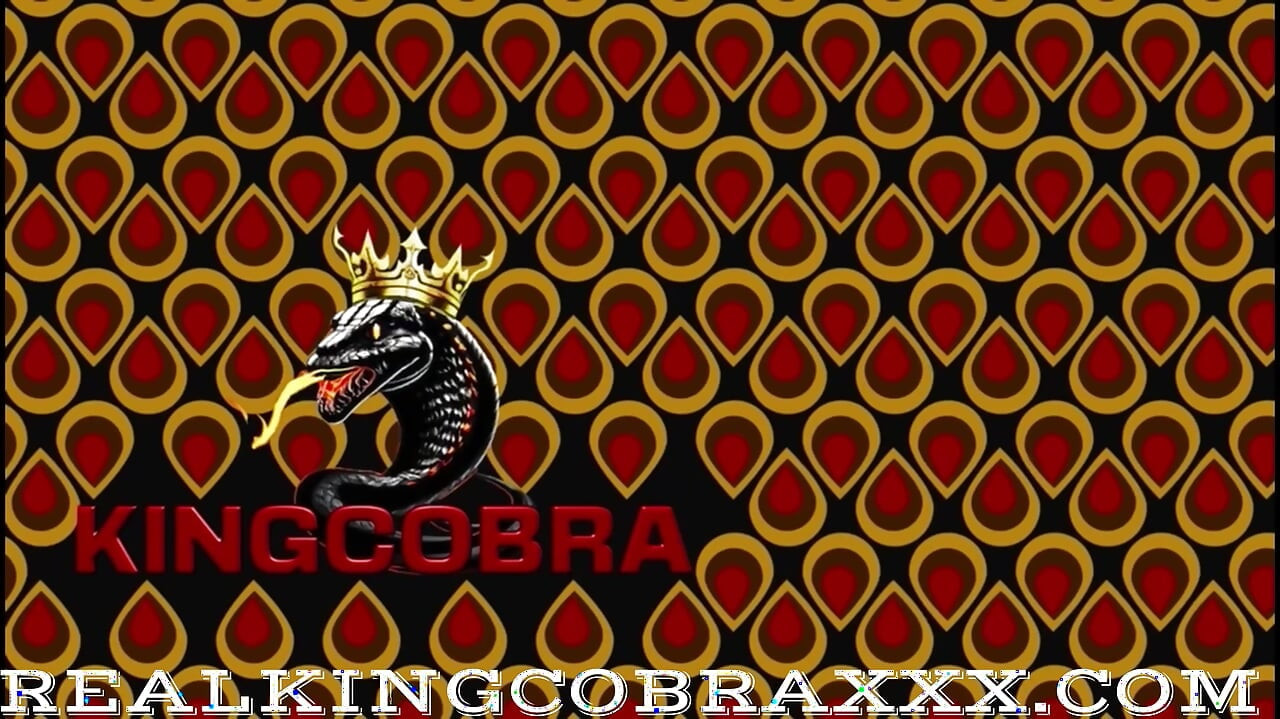 Welcome to the Snowbunny Hotel: Pink Infanity Loves King Cobra Dick
