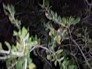 Amateur Wife filmed by husband in the park