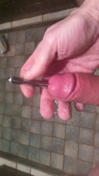 Sounding cock