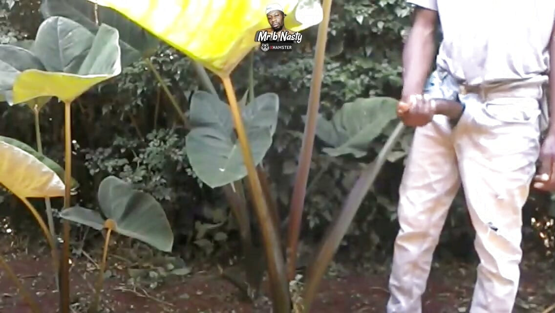 AFRICAN BIG  BLACK COCK JERKING OFF IN PUBLIC