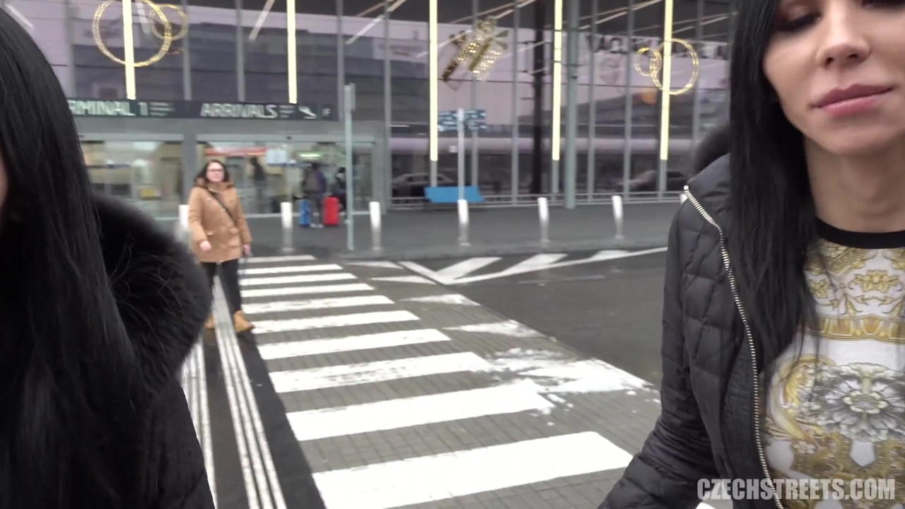 チェコの街 - ディックスとひよこ