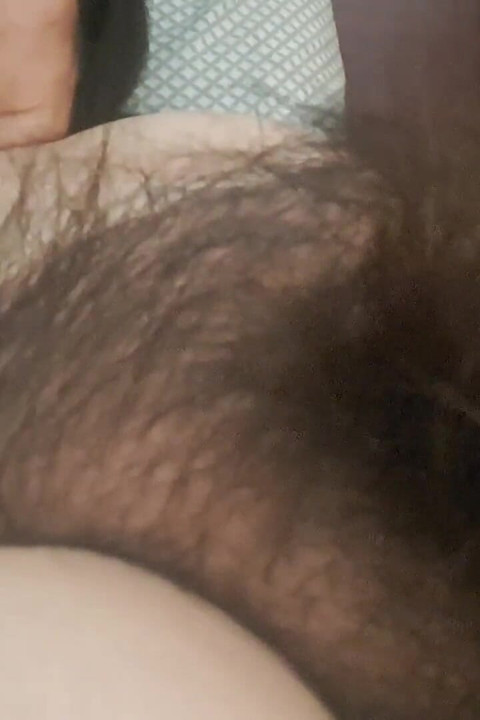 成熟した毛深い濡れた膣