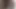 Grandpa sucks and eat cum from hairy belly