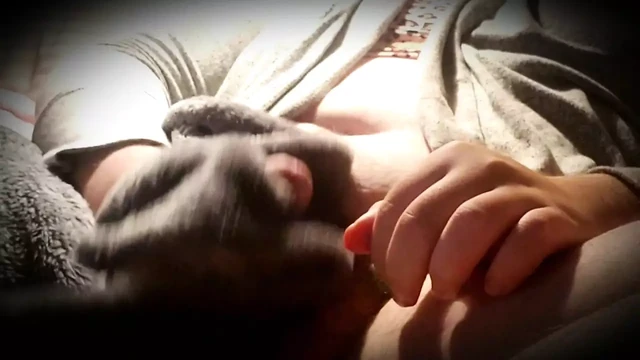 Putting out a quick load on my soft blanket