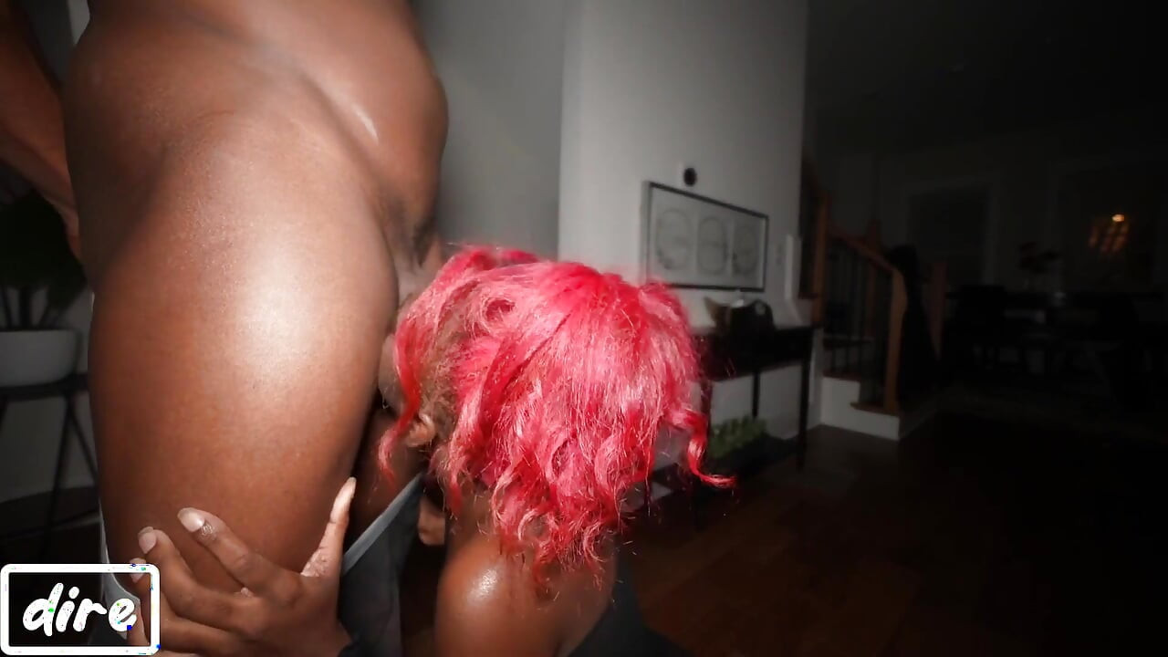 ハイフィーの帰還