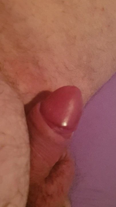Gordito tragon