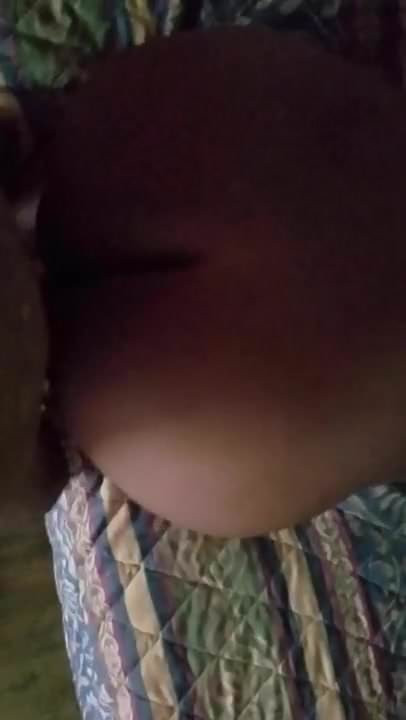 Bbwbackpagehunterpt3