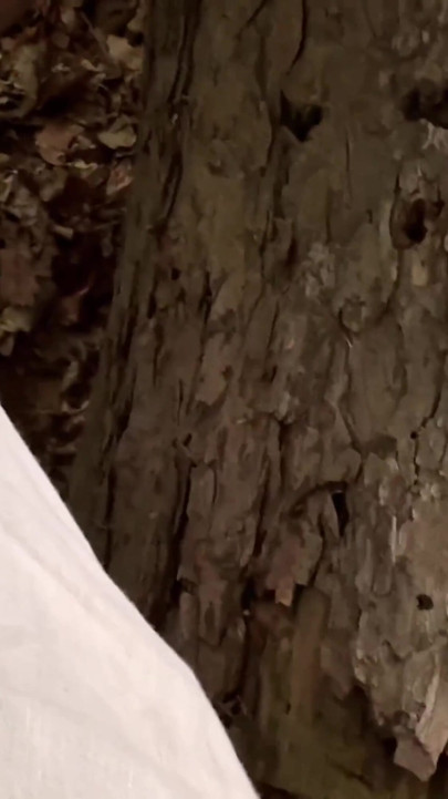Almost Caught: Public Lake Fuck, Handjob & Outdoor Piss | Clip 2