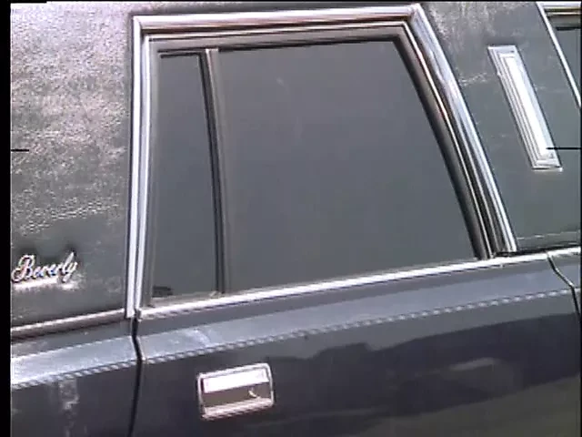 Lethal Passion (1991, US, Tracey Adams, full video, DVD rip)