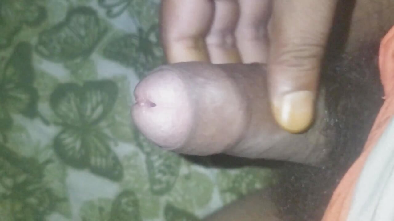 Cock Fun 1