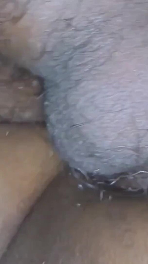 Chut fingering Aur fata hua Gand chudai,desi gao ki randi ki fata hua Gand me mota lund dal kar Aur fara Gand. | Clip 2