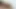 Dirty of My Neighbor Enjoys How I Eat Her Pussy and Cum on Her Belly - Andy Z 94ass