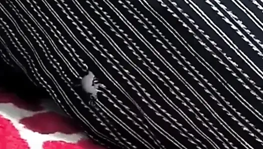 Zeigt der kamera meine schmutzigen füße, während sie von meinem schwarzen stier vollgespritzt wird