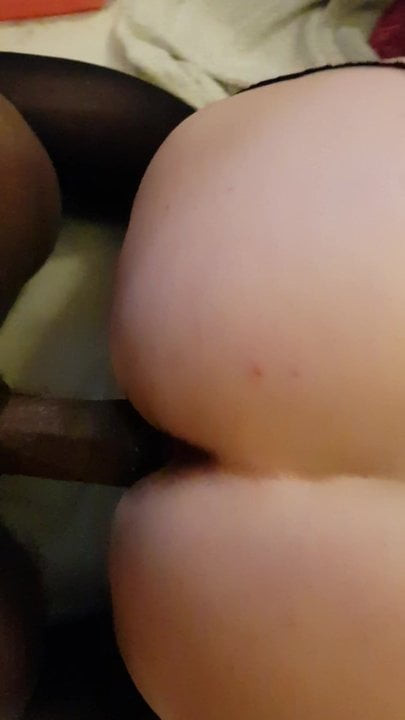 trina 6