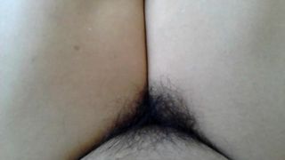 hairy pussy