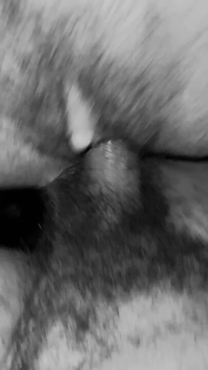 他回来了，他正在接受鸡巴