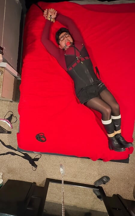 Ada Wong bound to bed