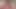 Blowjob luar ruangan pacar amatir toket kencang dengan mani muncrat wajah