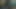 ベイブファック1